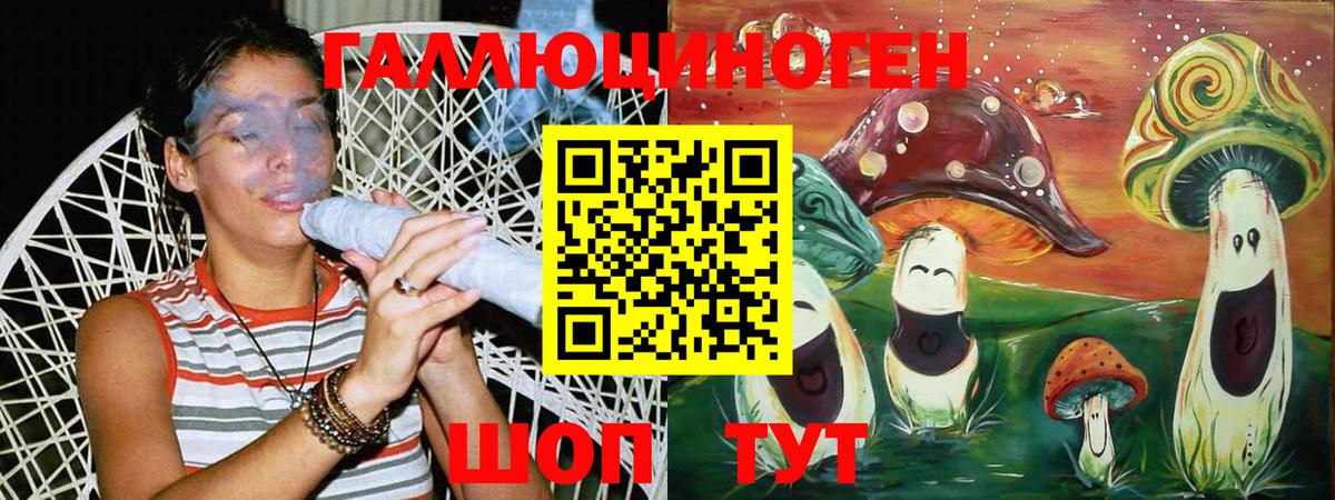 Сызрань  закладки  Вход с VPN  Галлюциногенные грибы Psilocybine cubensis 
