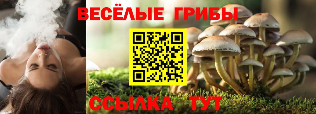 Псилоцибиновые грибы Magic Shrooms Сызрань